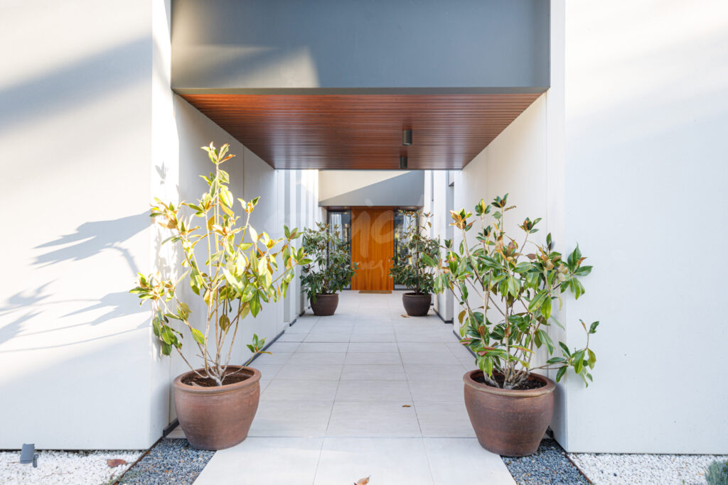 Acceso a vivienda contemporánea con plantas en maceta y diseño minimalista