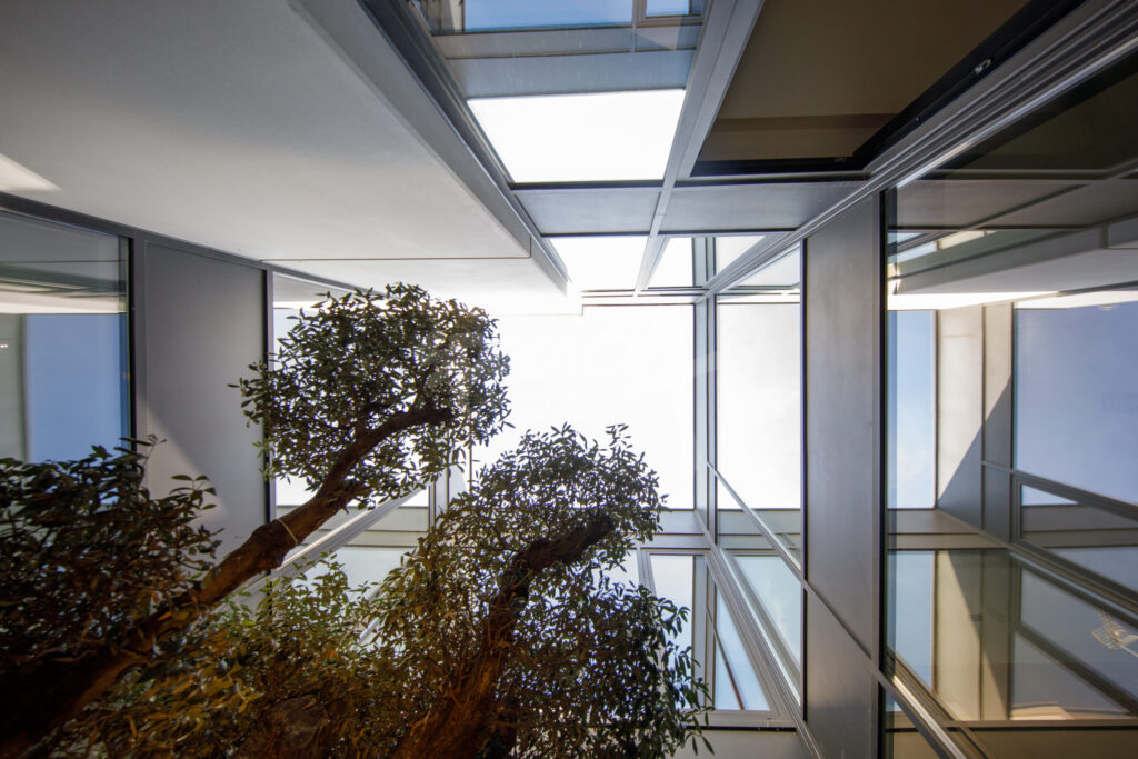 Patio interior con árboles y lucernario acristalado que aporta luz natural